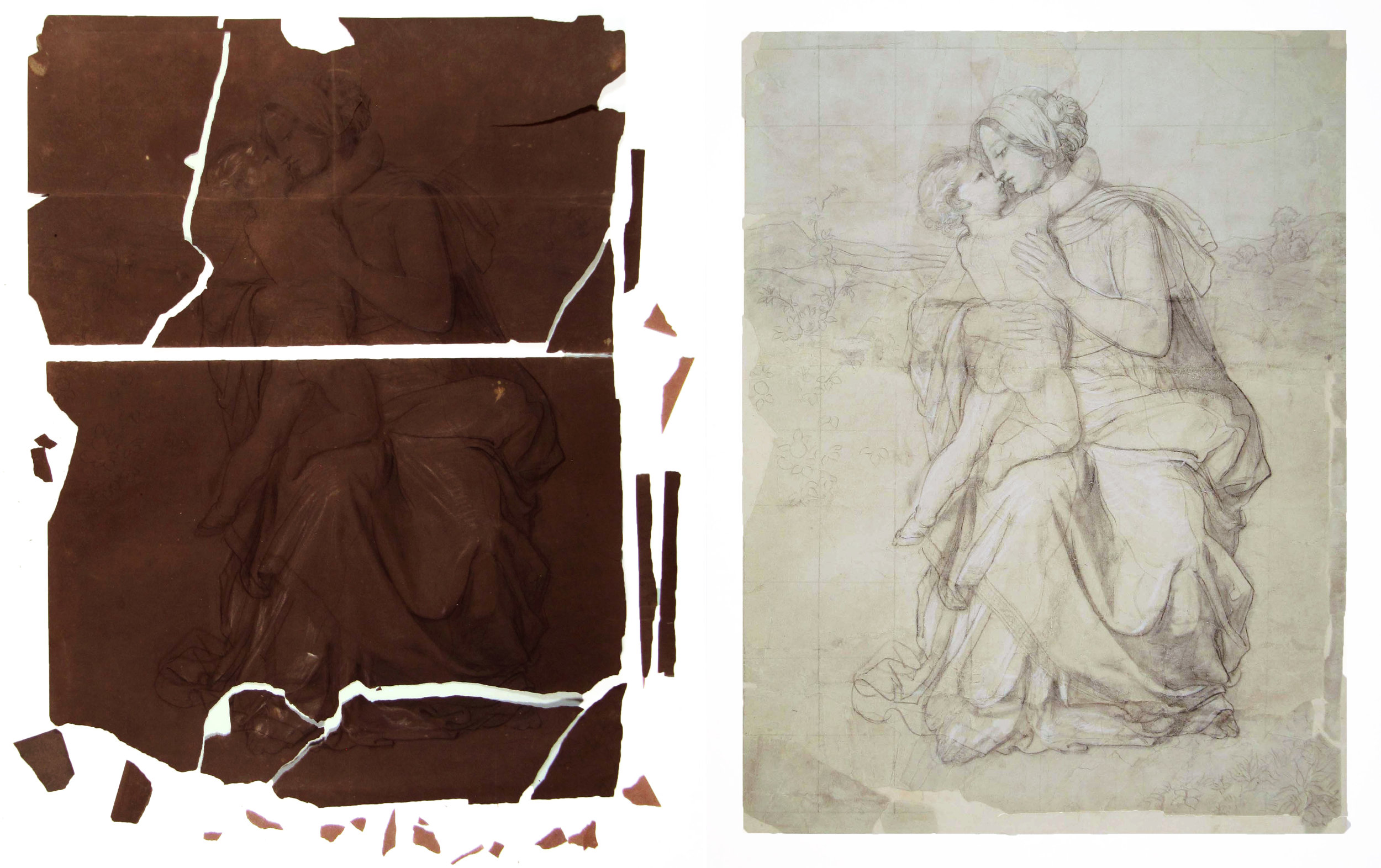 Petri before and after.jpg