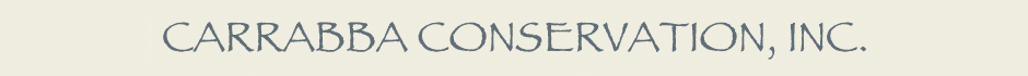 carrabbaLogoNotTransparent.gif