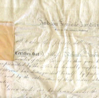 Parchment.jpg