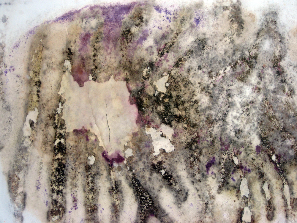 Mold detail 2.jpg